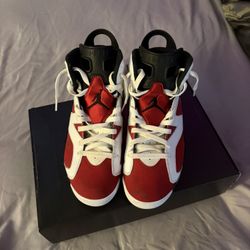 Jordan 6s Sz 9.5