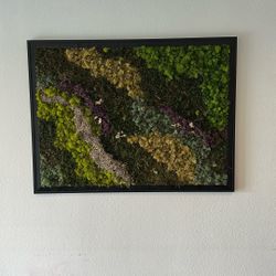 Live Moss Art Picture Frame 