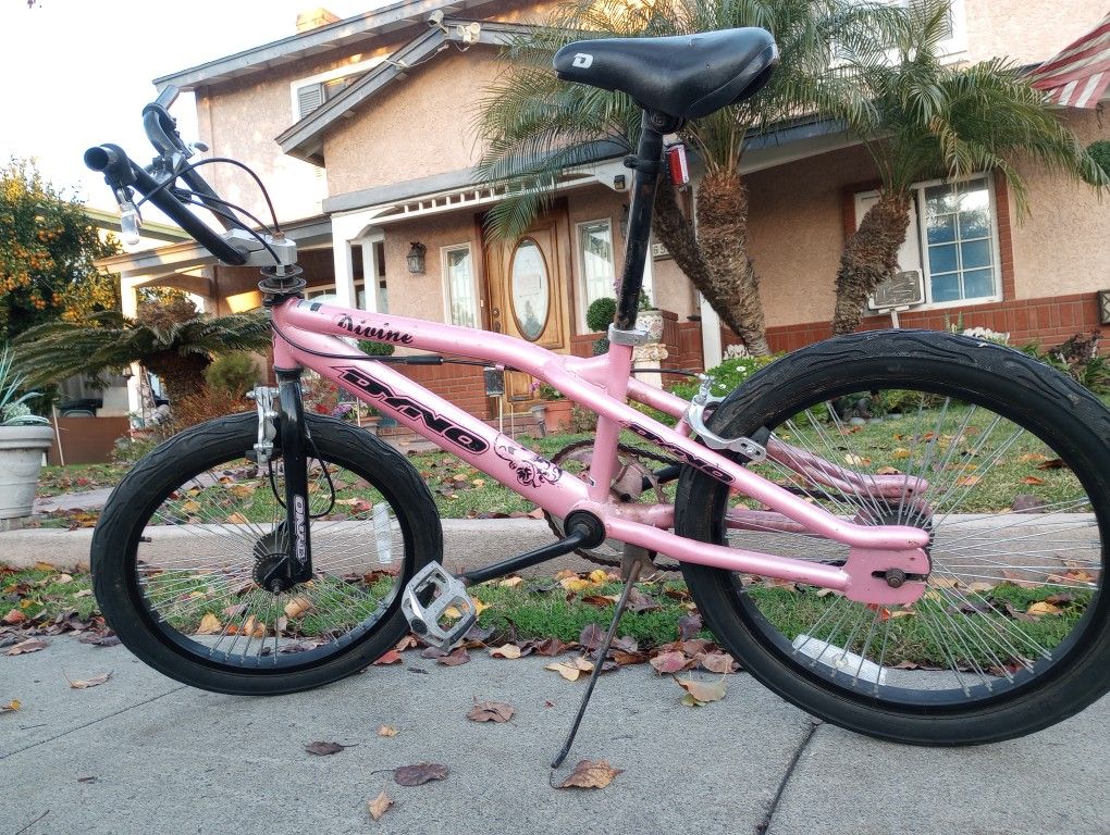 Dyno, 20, Divine Model