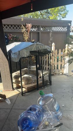 Dog cage
