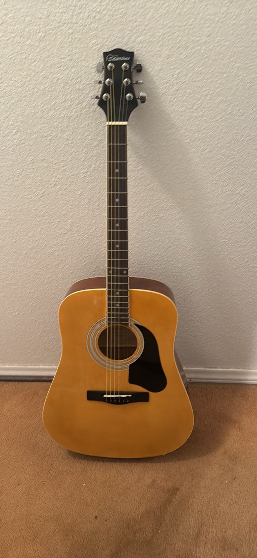 Acoustic Guitar