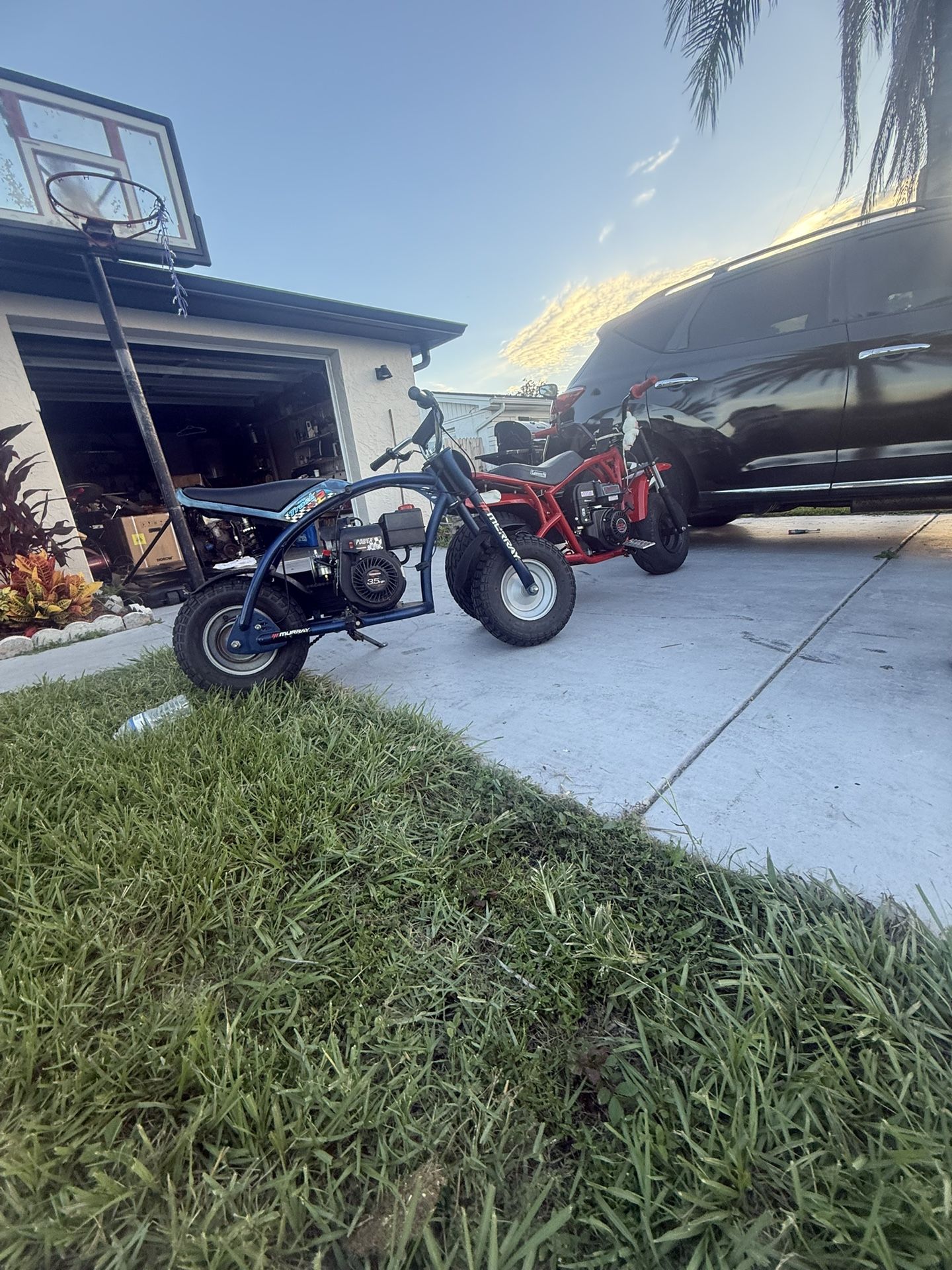Coleman Minibike