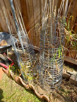 tomato cages