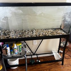 50 Gallon Aquarium With Stand And accessories 