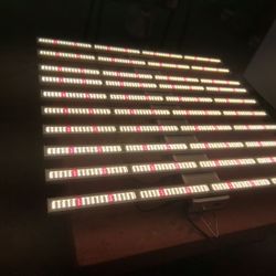 Led Grow Lights