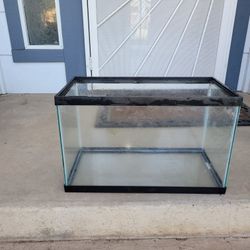 10 gallon Tank!