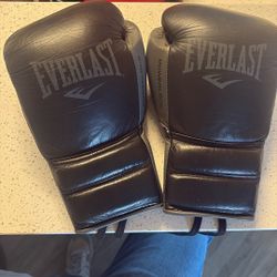 Everlast Powerlock 10oz Fight Glove 