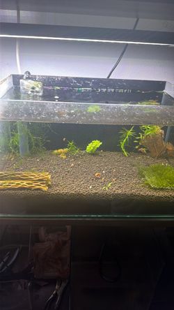 Aquarium decoration