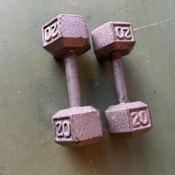 20 Lb Metal Dumbbells 