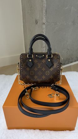 Louis Vuitton Speedy Trunk 20