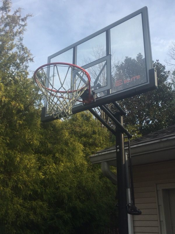 Basketball hoop. Must haul away.