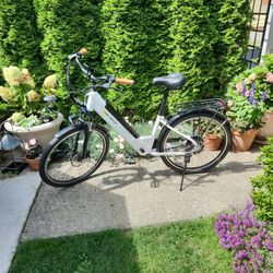 Brand New E- Bike