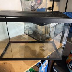 20 Gallon Fish Tank