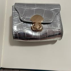 Mini Purses 