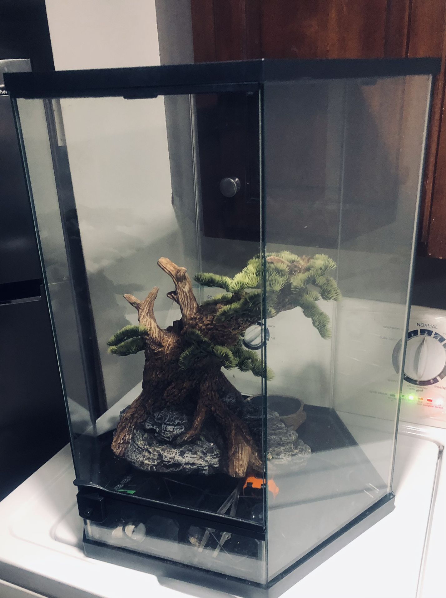 Lizard Tank With Heating Pad 150 Obo