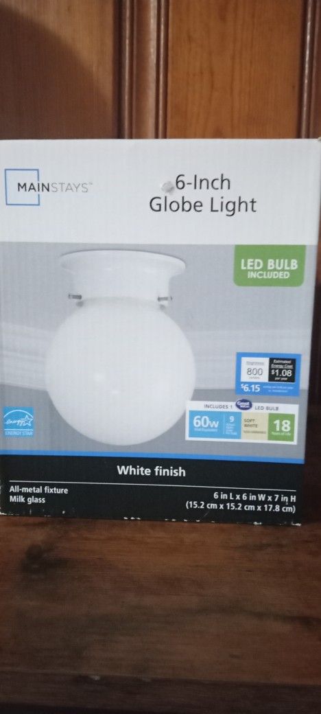 Globe light