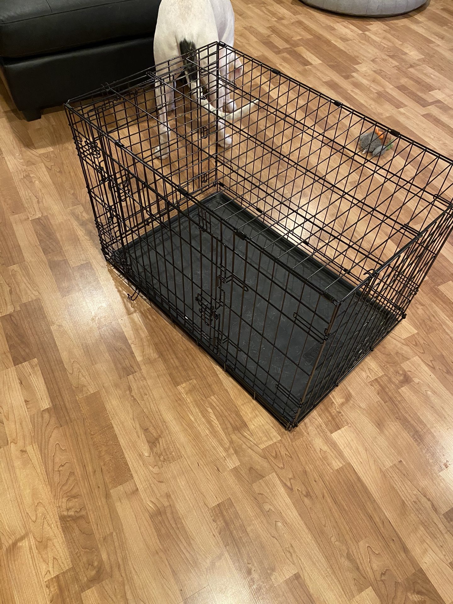 Large Wire Dog Crate