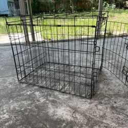 Dog Gave