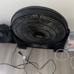 Two Fans 