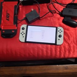 Nintendo Switch  OLED 1 case