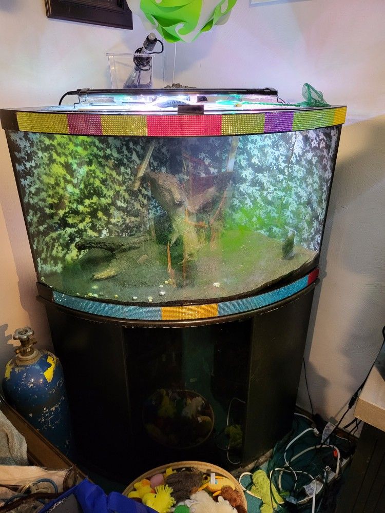 55-60 Tear Drop Shaped Corner Aquarium Fishtank For Sale Or Trade