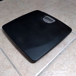 Taylor Lithium Digital Scale 