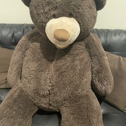 Big Brown Bear 