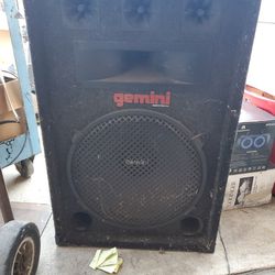 Gemini speaker