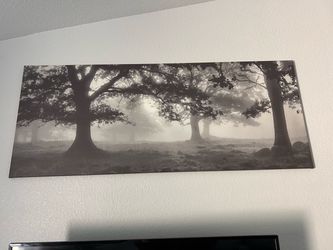 Canvas picture