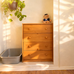 Moving Mid-Century Style Wood Dresser
