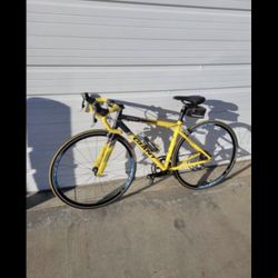 Giant Bike 44cm 