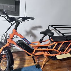 Electric Bike