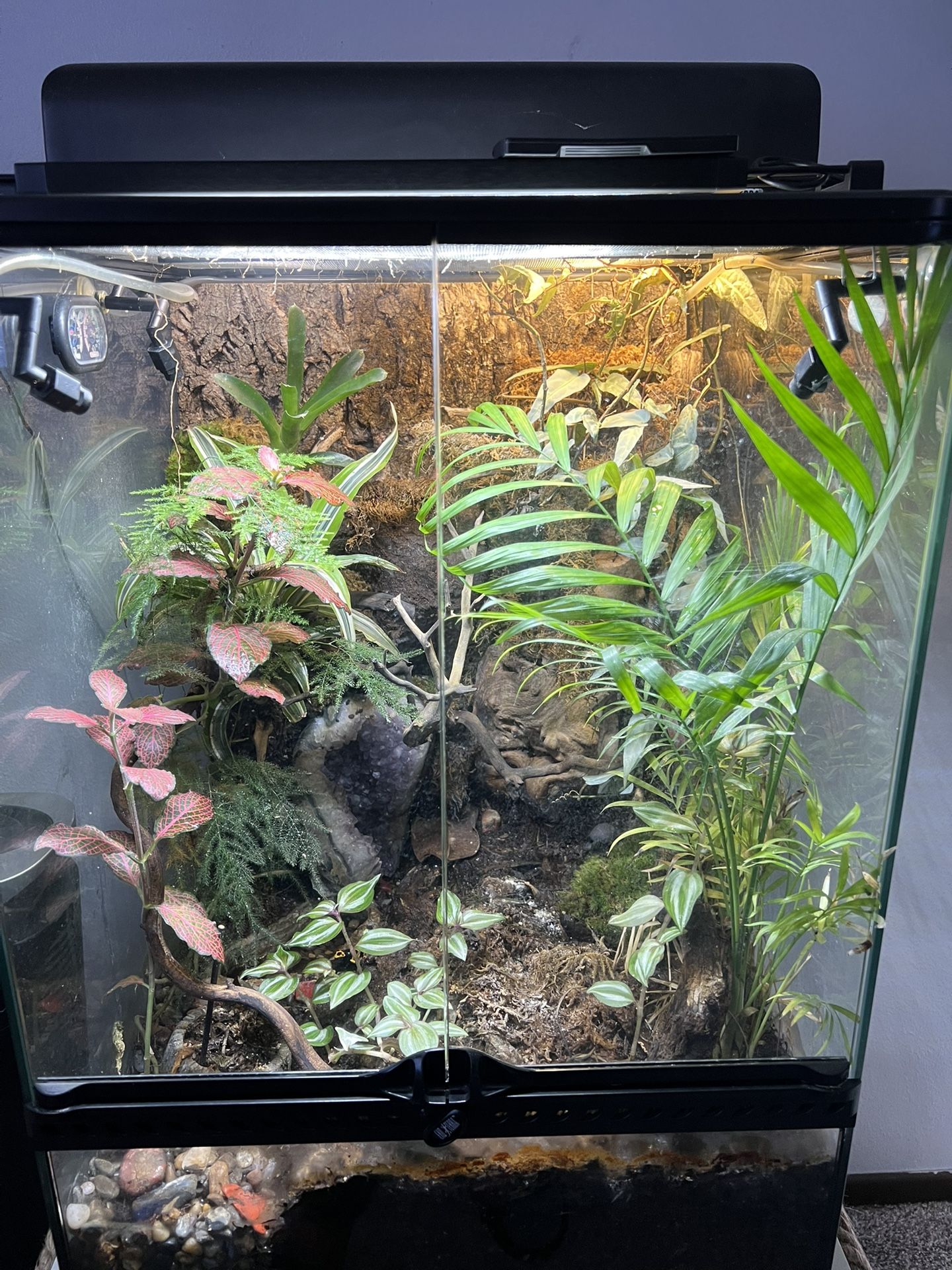 Exo Terrarium Enclosure