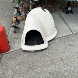 Igloo Dog House Medium Size.