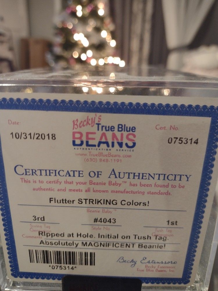Flutter The Butterfly Beanie Baby!!!! Authenticated And Encapsulated!!!