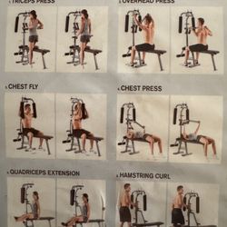 Weider Excercise