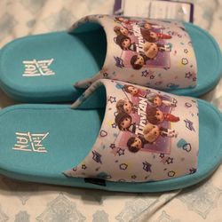 BTS Tinytan indoor Slippers