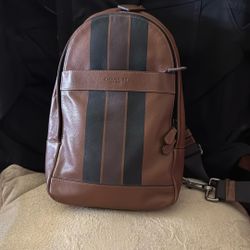 Coach Should/Messenger Bag 