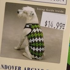 Dog Shirt Small Medium