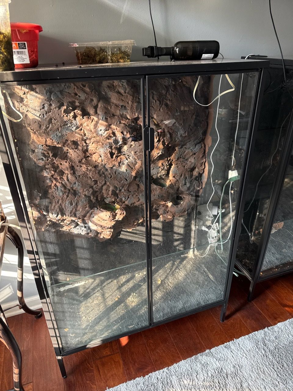 Large Plant Terrarium
