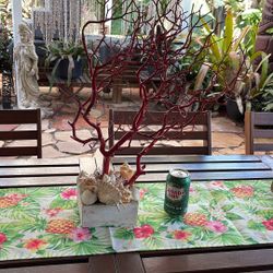 Manzanita Branch 