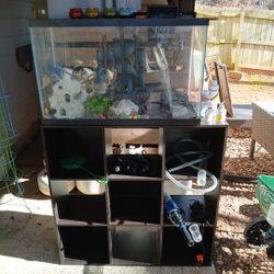 Fish Tank  With  All   Peaces  In  Pictures  Including  Shelf