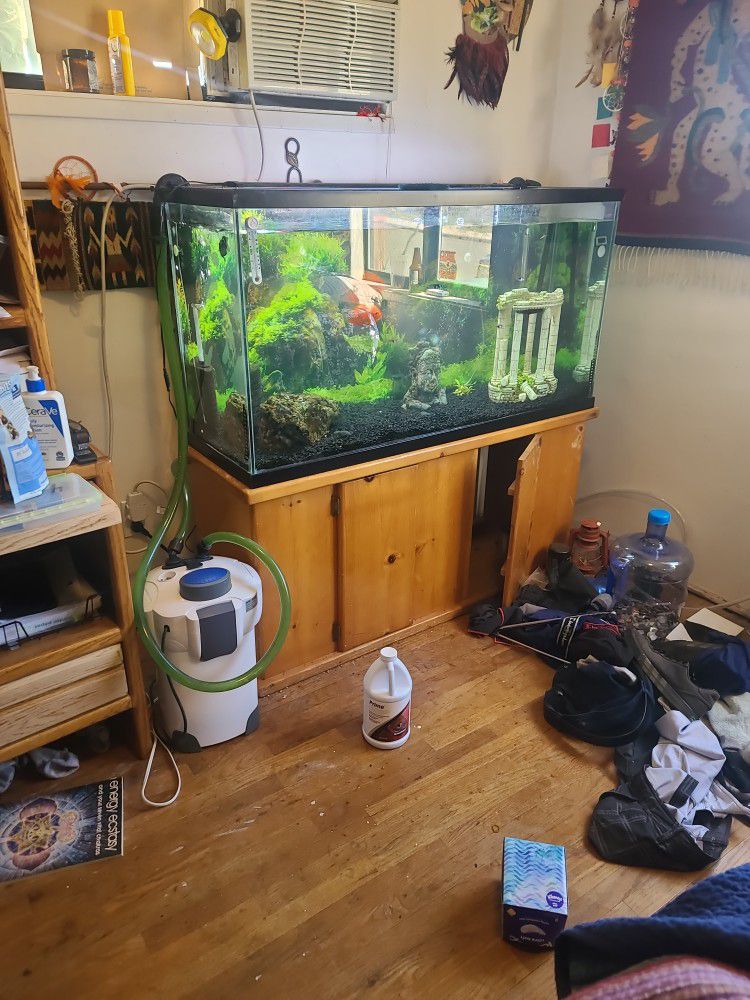 sympathie etnisch duidelijk Fish Tank 100gal for Sale in San Diego, CA - OfferUp