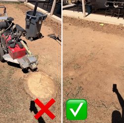 Stump remov*