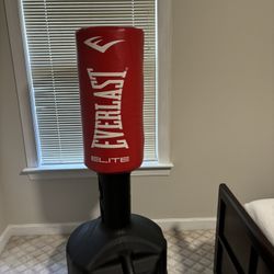 Everlast Elite Punching Bag