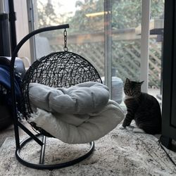 Cat Hanging Egg Bed 
