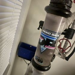 Diamond Back Ascent Ex 