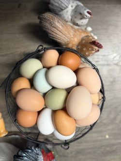 Farm fresh unwashed eggs