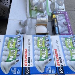 Bulbs Bundle 