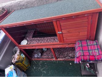 Bunny cage